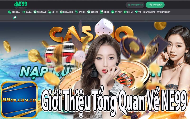 Giới Thiệu Tổng Quan Về NE99